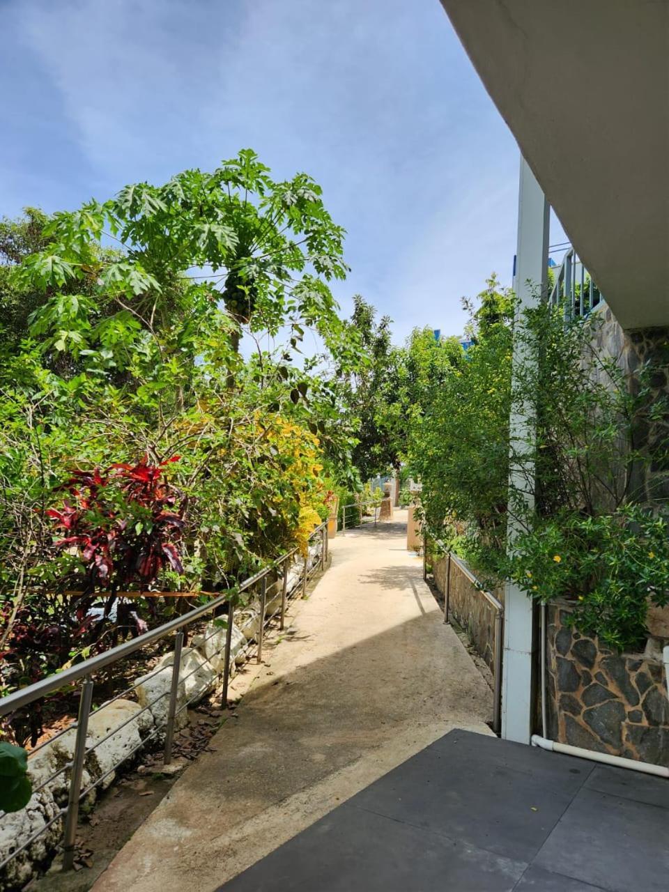 Hotel Ticozuma มอนเตซูมา ภายนอก รูปภาพ